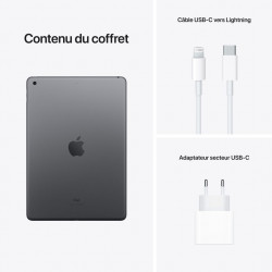Apple iPad 8 2020 Gris sidéral