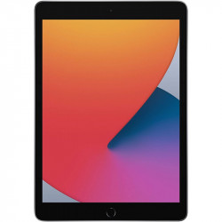 Apple iPad 7 2019 Gris sidéral