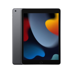 Apple iPad 9 2021 Gris sidéral