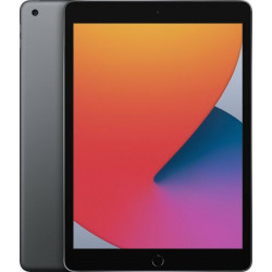 Apple iPad 8 2020 Gris sidéral