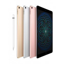 Apple iPad Pro 10.5 2017 Gris sidéral