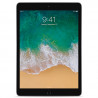 Apple iPad Pro 10.5 2017 Gris sidéral