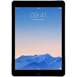 Apple iPad Air 2 Gris sidéral