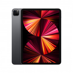 Apple iPad Pro 11 2021 Gris sidéral