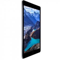 Apple iPad Air 2 2014 Gris sidéral