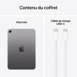 Apple iPad Mini 5 Gris sidéral