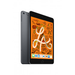 Apple iPad Mini 5 Gris sidéral