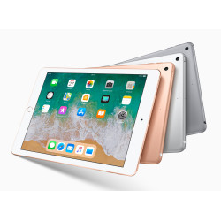 Apple iPad 9 Gris sidéral