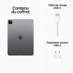 Apple iPad Pro 11 2022 Gris