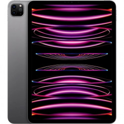 Apple iPad Pro 11 2022 Gris