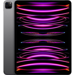 Apple iPad Pro 12.9 2022 Gris sidéral