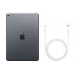 Apple iPad 7 2019 Gris sidéral
